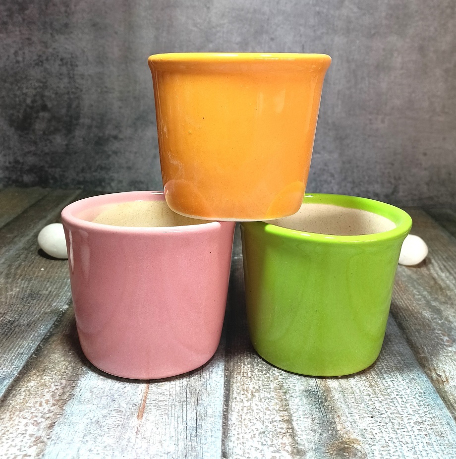 Ashwini Ceramic Pots - ECP5036