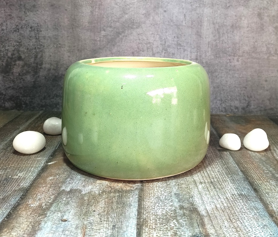 Fancy Bowl Ceramic Planters - ECP5019