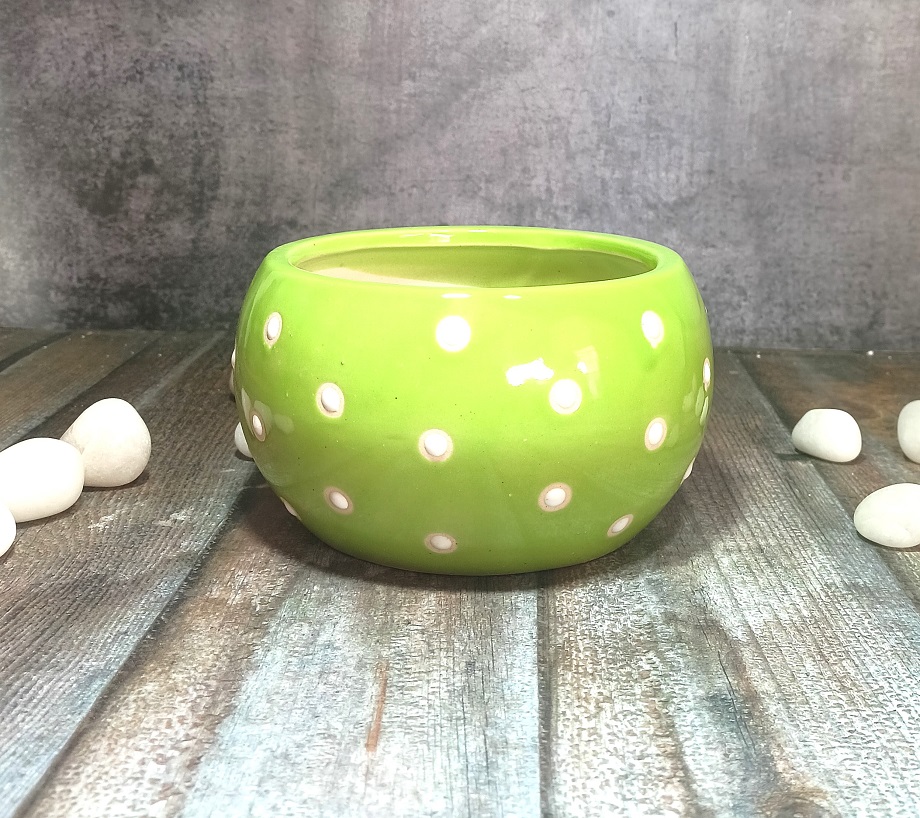 Dotted Bowl Ceramic Planter - ECP5015